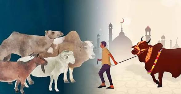 কোরবানির পরে যা যা করবেন ঈদের দিনের ফজিলত